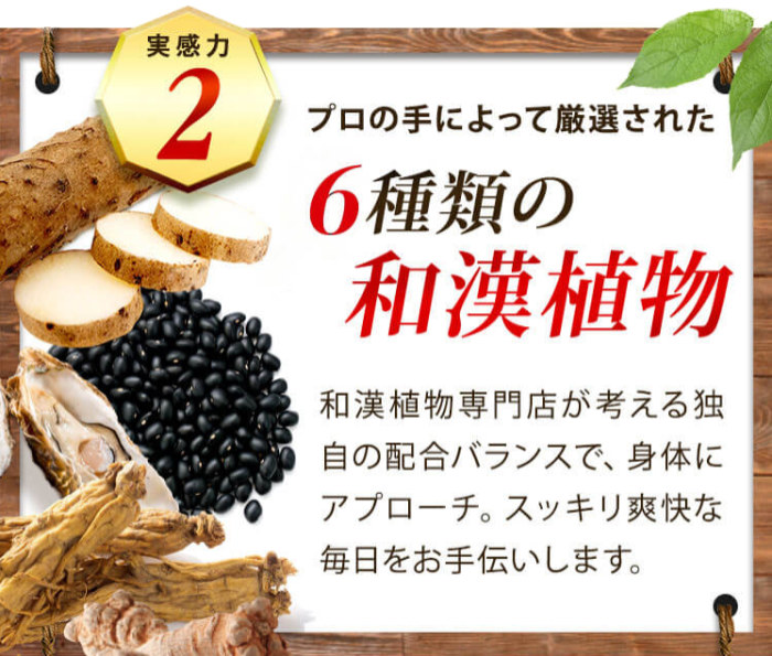 6種の和漢素材